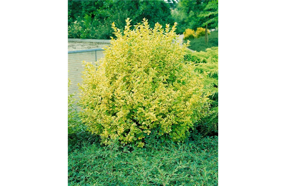 Das geeignete Winterquartier! Das geeignete Winterquartier!