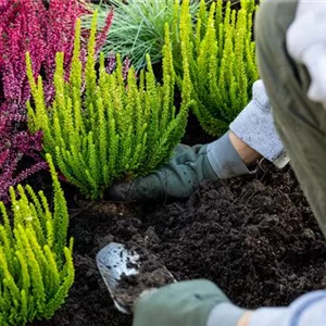 Gartenwelt