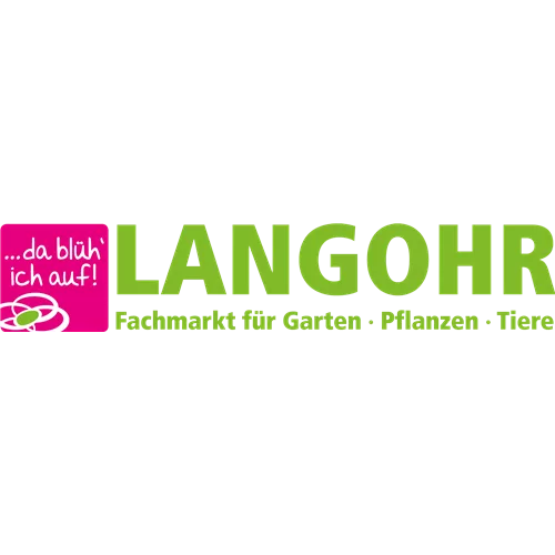 Immergrünes Geißblatt - Einpflanzen am Rankbogen