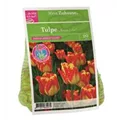 DBIA-Zwiebeltuetchen-Tulpe-Banja-Luka-20.jpg