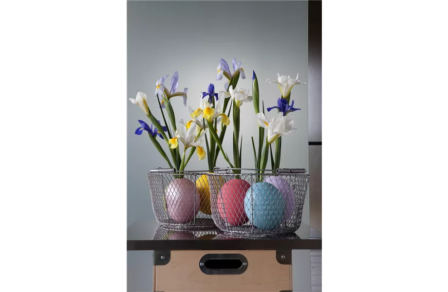 DIY-Tipp des Monats April 2019
